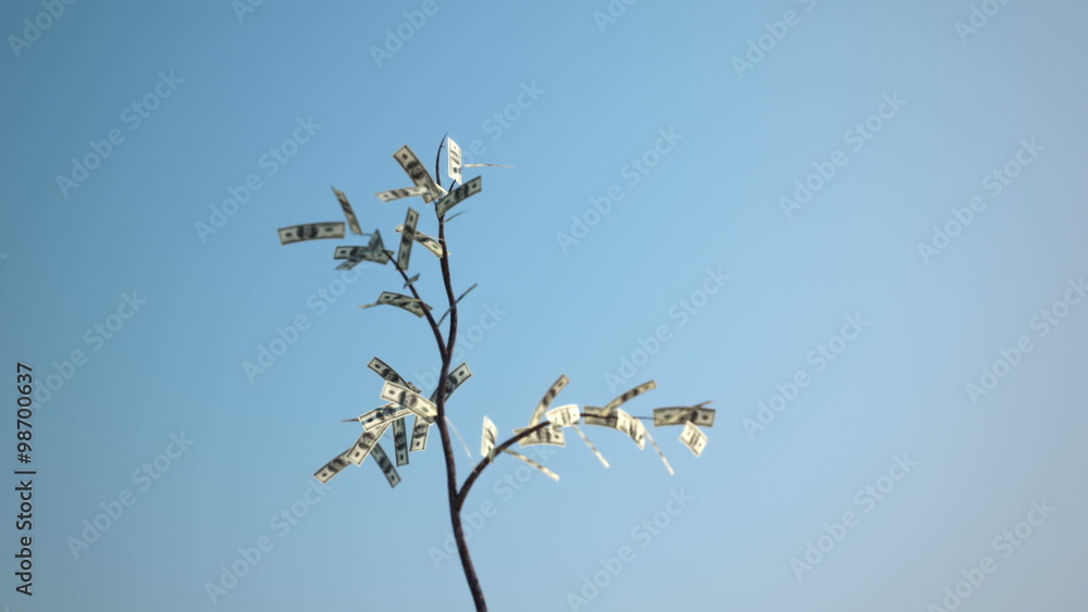 An abstract animation of growing lonely Dollar's tree on blue background. HD An abstract animation of growing lonely Dollar's tree on blue background. HD