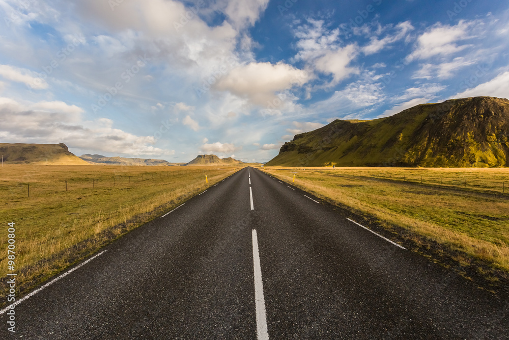 Fototapeta premium Road in Iceland. Beautiful landscape
