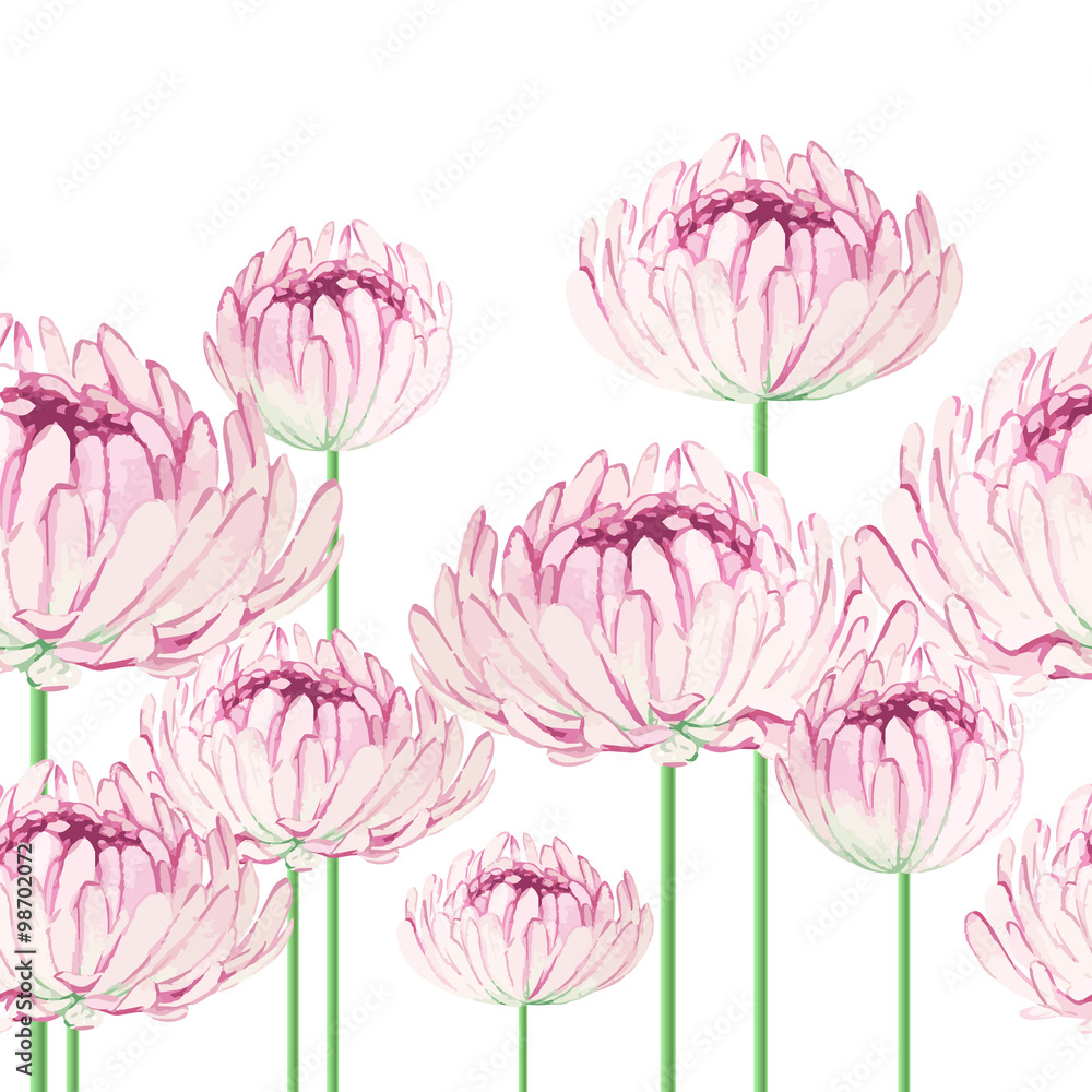 Seamless pattern with pink chrysanthemums