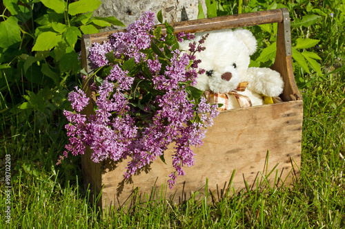 Деревянный ящик с цветами сирени и медвежонком