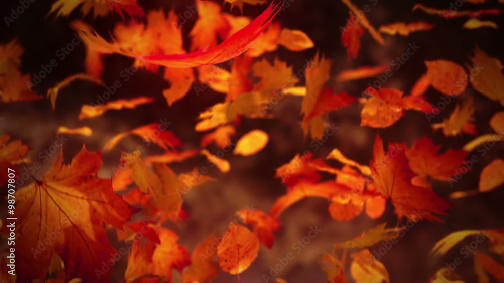 Slow motion animation of orange autumn leaves blown by wind. Closeup view. HD Slow motion animation of orange autumn leaves blown by wind. Closeup view. HD