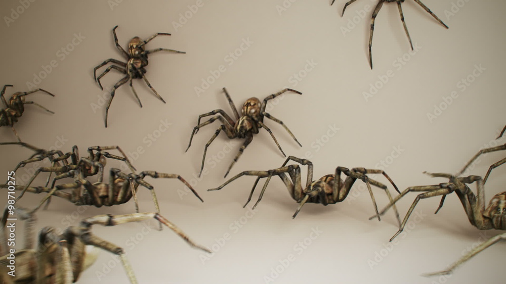 Dozens of big venomous spiders crawling across the dark green wall. Spider army.