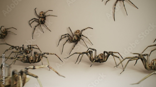Dozens of big venomous spiders crawling across the dark green wall. Spider army.