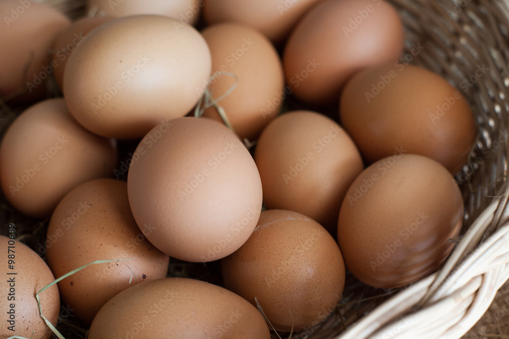 Still Life- Multiple eggs in the basket bubble. Still Life- Multiple eggs in the basket bubble.