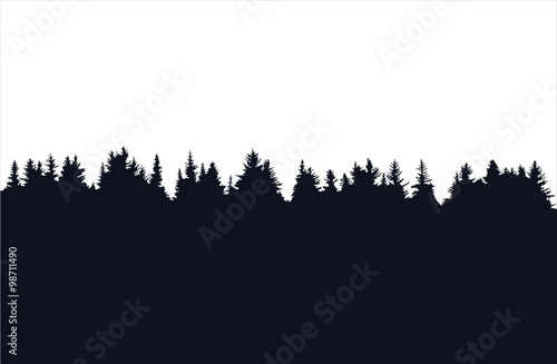 Forest silhouette