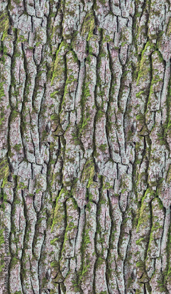 old pine rind seamless abstract texture old pine rind seamless abstract texture