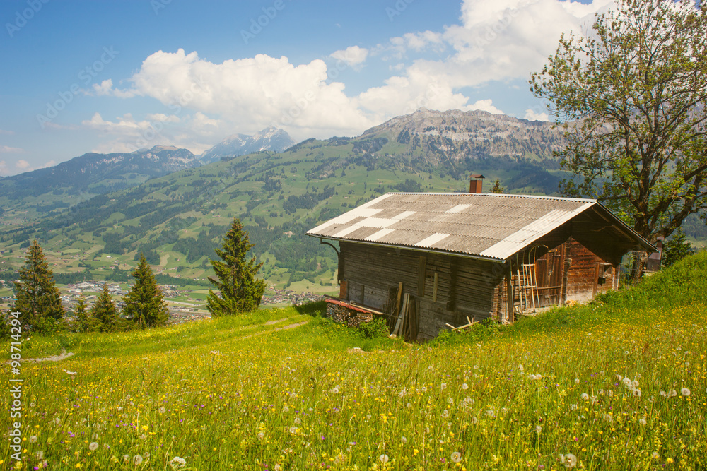 Fototapeta premium Alphütte im Berner Oberland