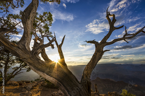 Grand Canyon