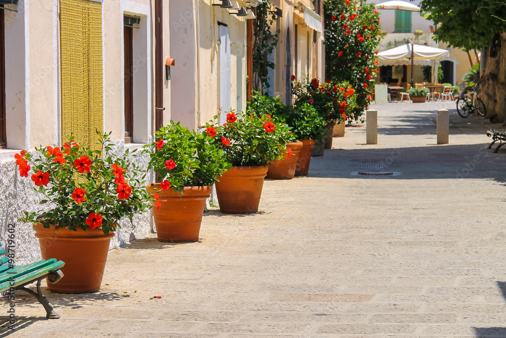 Decorative pots with red hibiscus flowers on the street of Itali