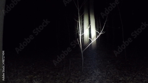 POV shot as you walk through a spooky scary forest at night. 