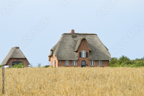 house covered with thatch lost among the fields