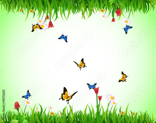 nature background with grass and flowers