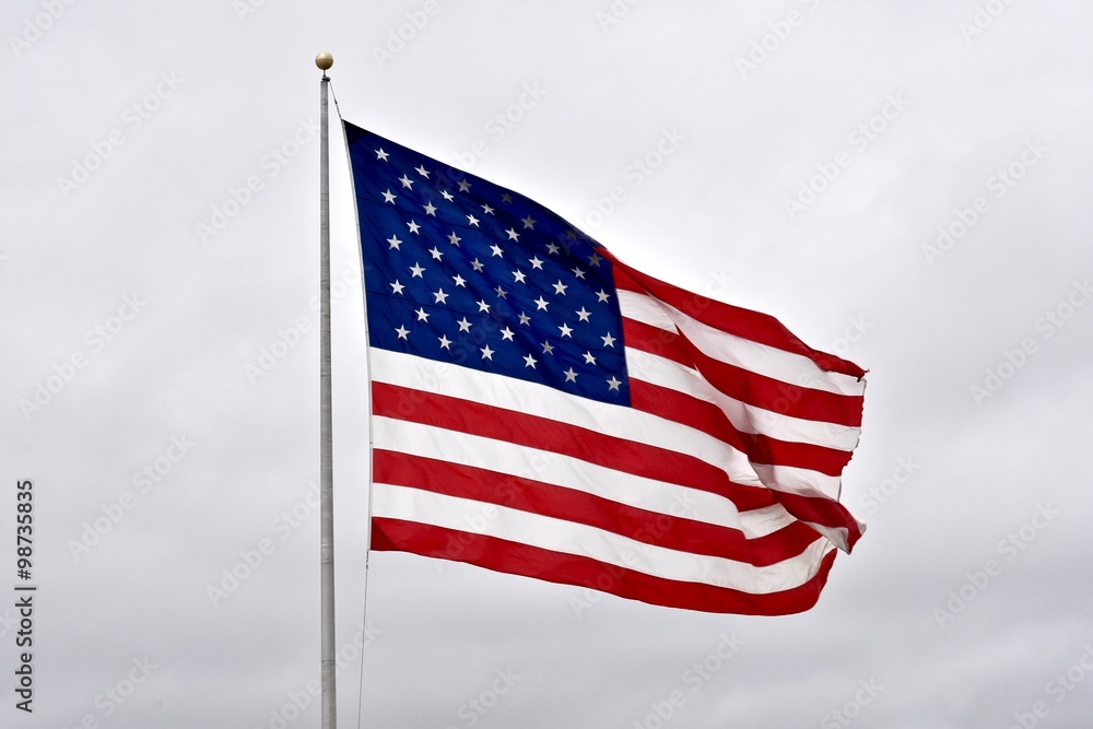 Fototapeta premium Flag in the wind