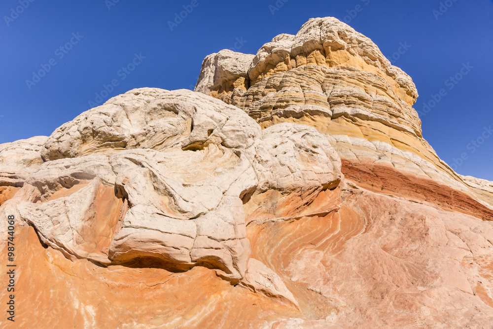 Turtle Rock at White Pocket