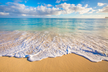 Keuken achterwand Strand zonsondergang Palmen aan strand van Hawaï  © shanemyersphoto