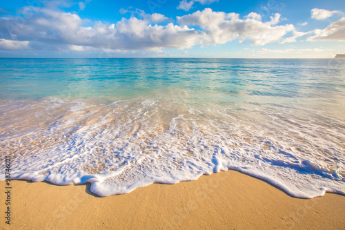 Obraz na plátně Hawaii Beaches