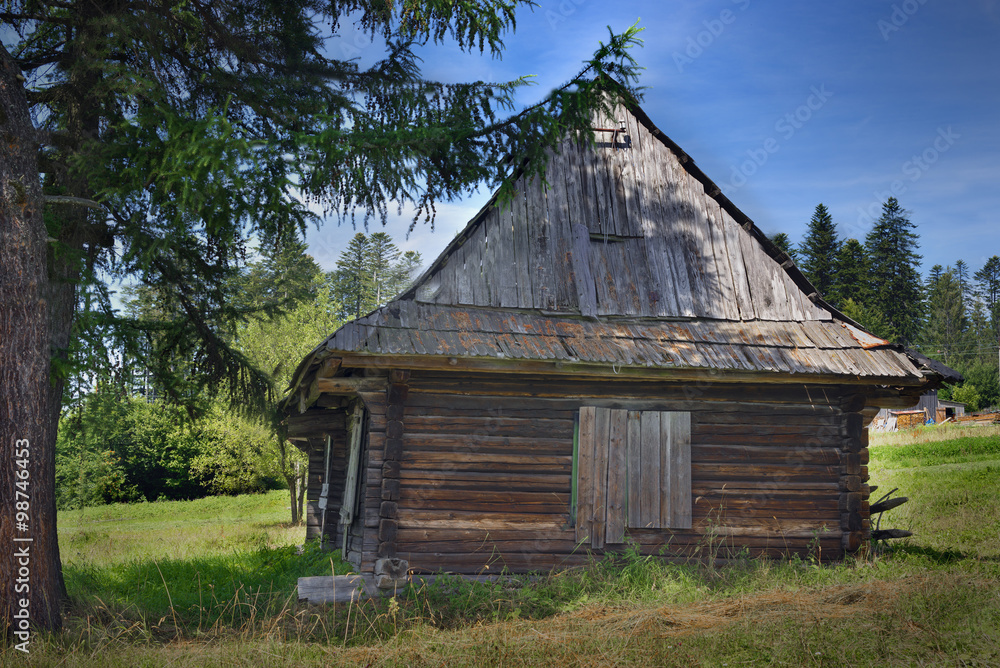 wooden hut under a tree on a sunny day wooden hut under a tree on a sunny day