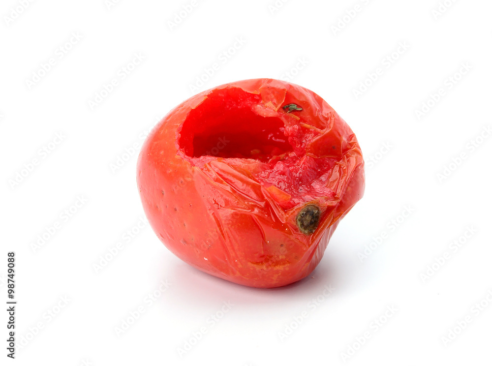 rotten tomato isolated on white background rotten tomato isolated on white background