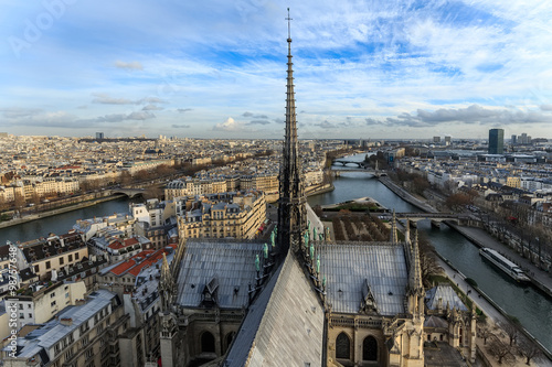 vue aérienne sur Paris , du toit de Nôtre-Dame de Paris