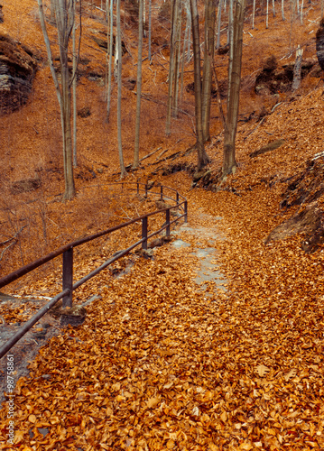 Autumn in Czech Switzerland