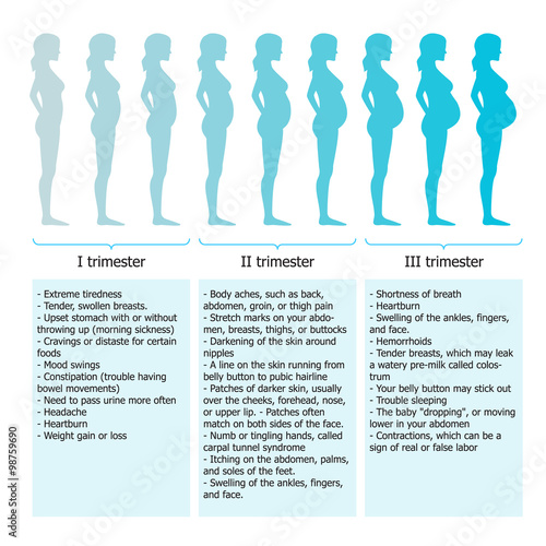 Infographic of pregnant woman in different period