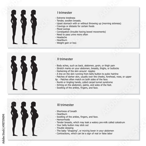 Infographic of pregnant woman in different period