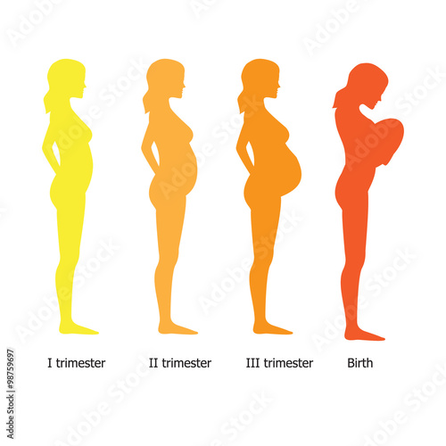 Infographic of pregnant woman in different period