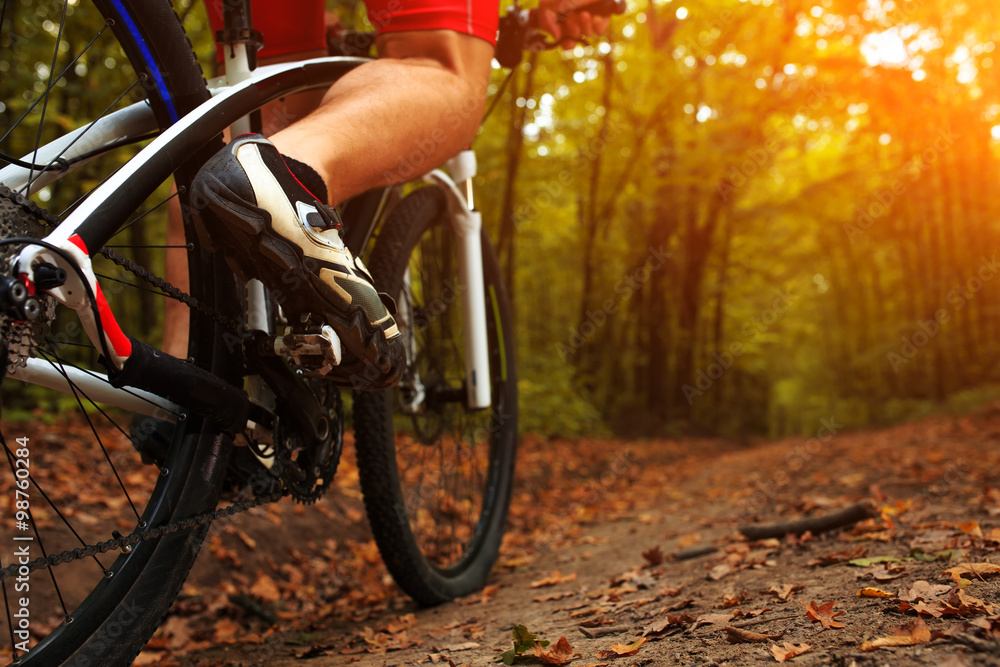 Fototapeta premium Rider in action at Freestyle Mountain Bike Session