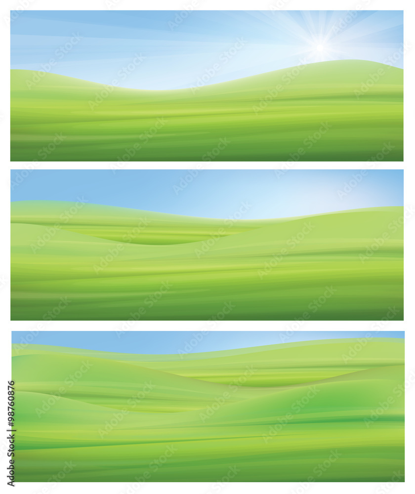 Vector  nature backgrounds, blue sky and green grass.