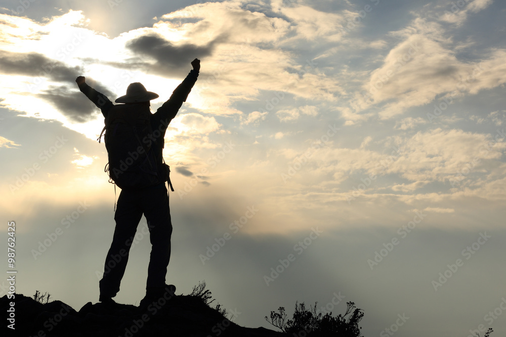 cheering young woman hiker open arms at mountain peak