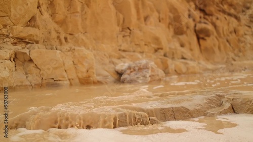 Stream in the Desert