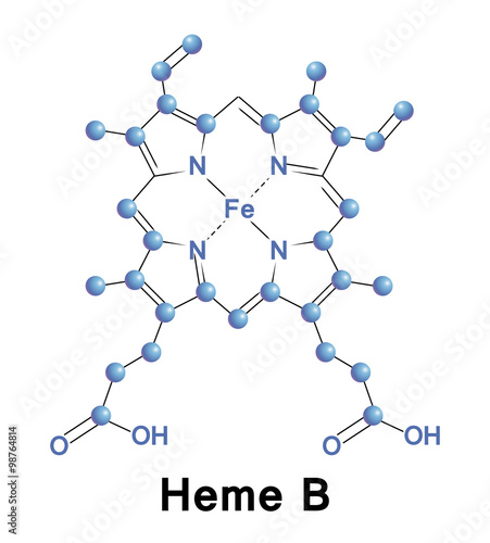 Heme B, medical photo