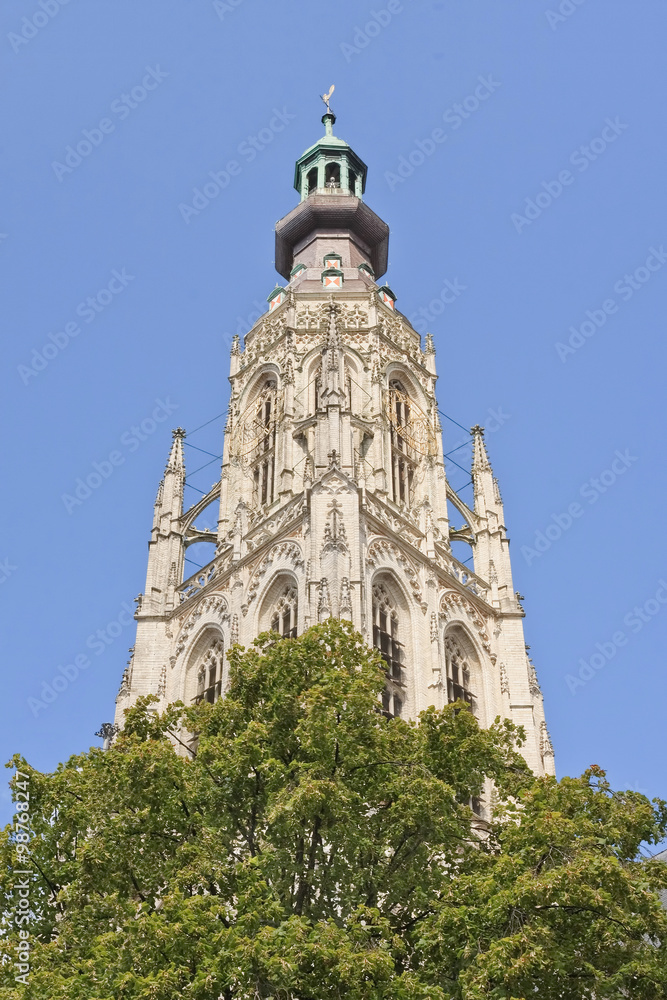 Majestic ornate cathedral at the old market, Breda, Netherlands Majestic ornate cathedral at the old market, Breda, Netherlands