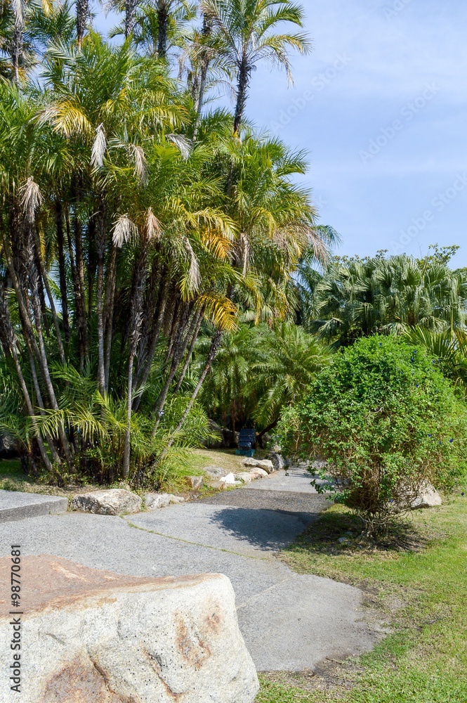 Fototapeta premium nature garden in thailand