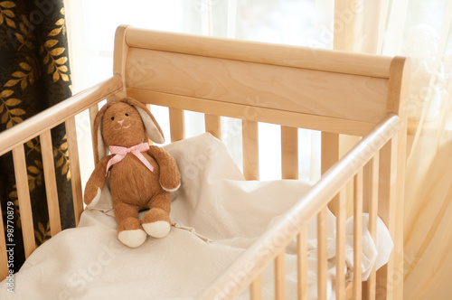 Bunny at the crib waiting for a new friend