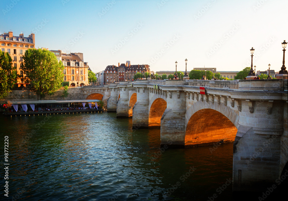 Naklejka premium Pont Neuf, Paris, France