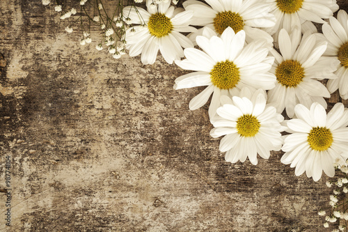 Daisy flowers on wooden background