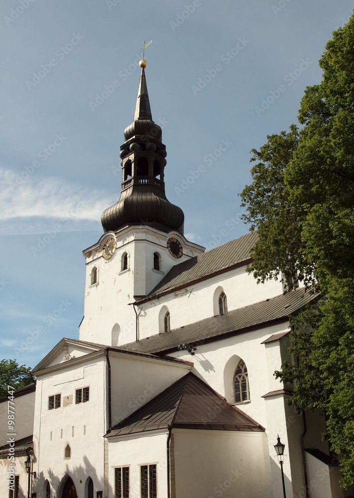 Dom auf dem Domberg in Tallinn