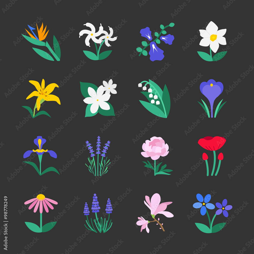 Fototapeta premium Famous Flower icons Set 2