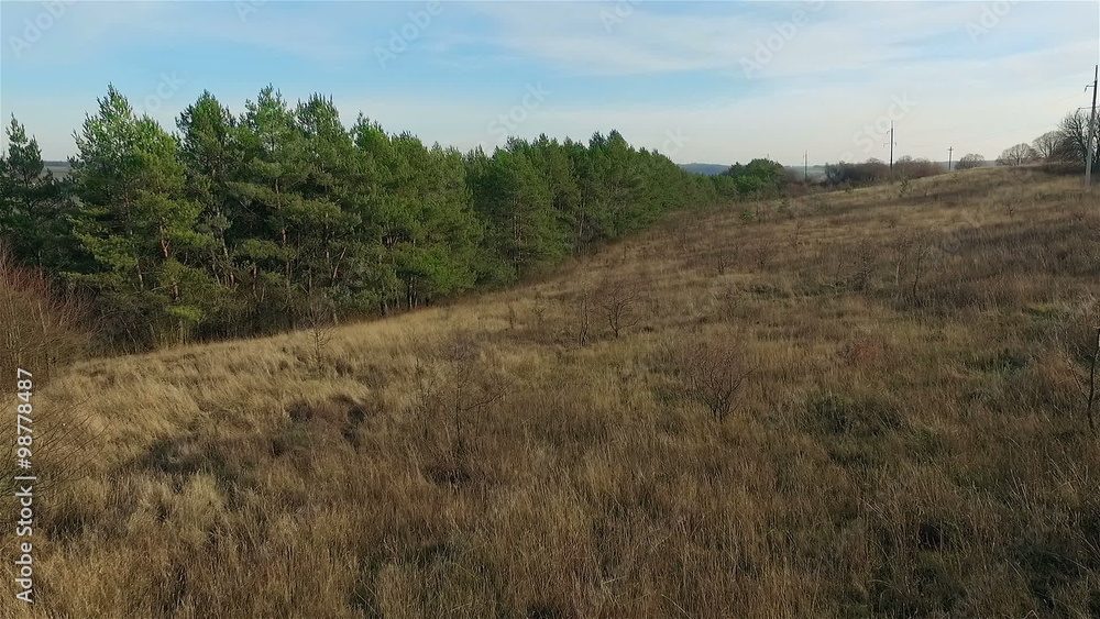Aerial view over the forest Aerial view over the forest