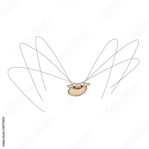 spider