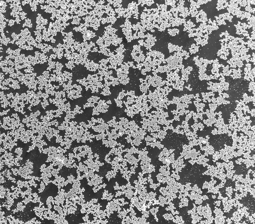 Beautiful crystals of salt lake Elton. Beautiful crystals of salt lake Elton.