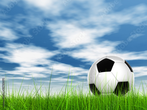Conceptual 3D soccer ball in field grass with a  sky background