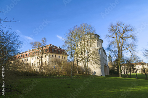 view from the Ilm park in weimar to green castle and Anna Amalia