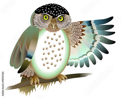Illustration of owl siting on the branch, vector cartoon image.
