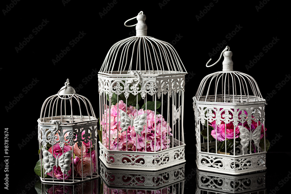Jaulas decorativas con flores 2. foto de Stock | Adobe Stock