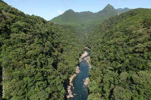 Canvas Print The river