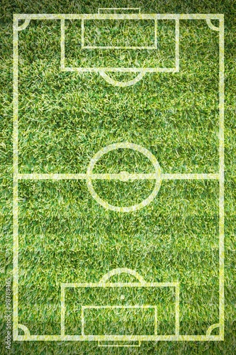 textured grass football , green natural grass of a soccer field.