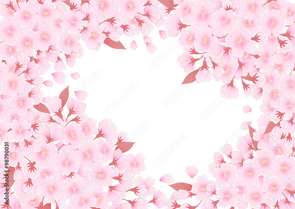 桜の枠　白背景