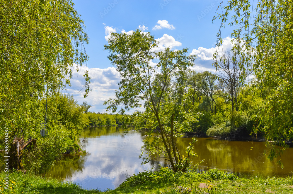 Fototapeta premium Summer landscape by the river Mukhavets. The city of Brest. Belarus
